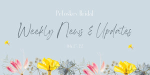 Weekly News & Updates 6.17.22